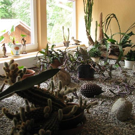 Asmonienes Sveciu Namai "Senoji Mokyklele" Hotel Smalininkai Екстериор снимка